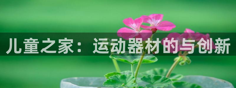 德国征途国际集团：儿童之家：运动器材的与创新