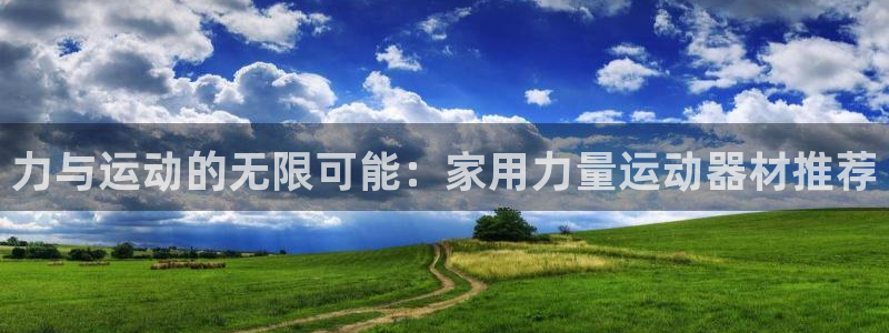 征途国际集团logo：力与运动的无限可能：家用力量运