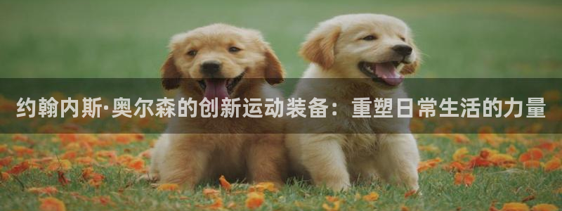 征途国际平台是正规平台吗知乎：约翰内斯·奥尔森的创新