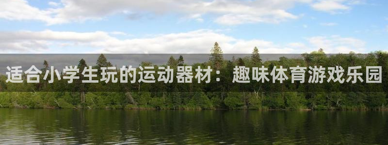 海南征途国际发展怎么样：适合小学生玩的运动器材：趣味体育游戏