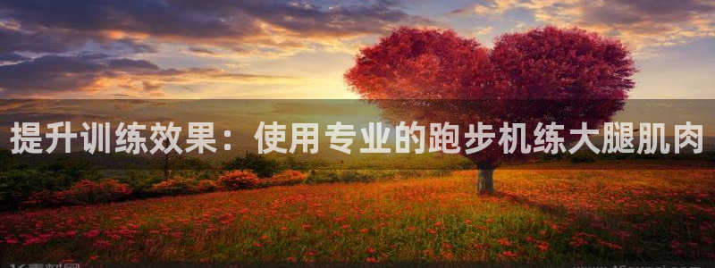 征途国际招商电话地址查询
