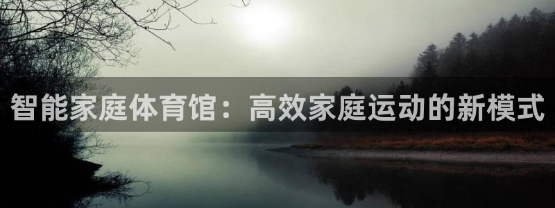 征途国际平台注册流程图：智能家庭体育馆：高效家庭运动的新模式