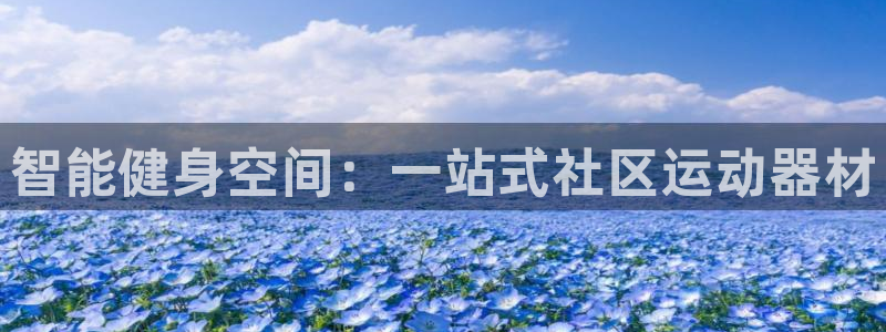 征途国际平台体育：智能健身空间：一站式社区运动器材