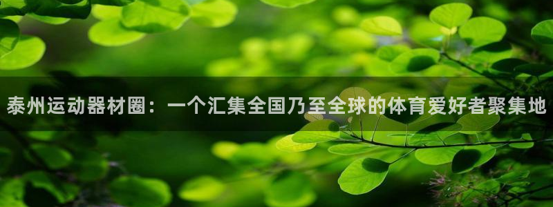 征途国际招商：泰州运动器材圈：一个汇集全国乃至全球的体育爱好