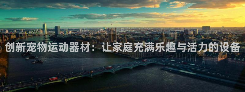 征途国际官方客服电话：创新宠物运动器材：让家庭充满乐趣与活力