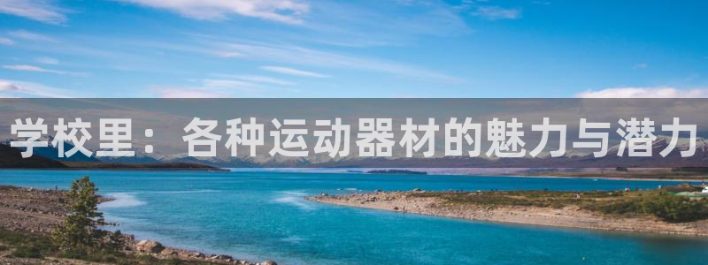 征途国际平台假的吗是真的吗：学校里：各种运动器材的魅