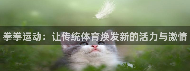 征途国际平台APP