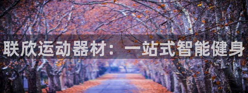 征途国际娱乐是那个系列的台子