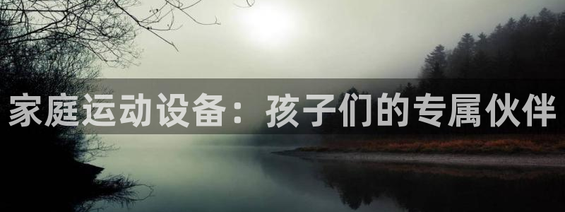 征途国际平台注册要钱吗安全吗：家庭运动设备：孩子们的