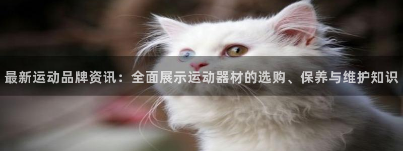 征途国际招商电话号码查询是多少：最新运动品牌资讯：全面展示运