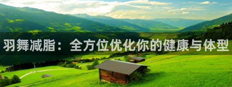 征途国际集团：羽舞减脂：全方位优化你的健康与体型