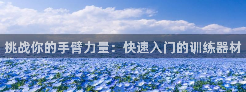 征途国际平台假的吗是真的吗：挑战你的手臂力量：快速入门的训练